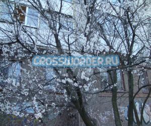 Города мира - Вишов Города мира - Вишов